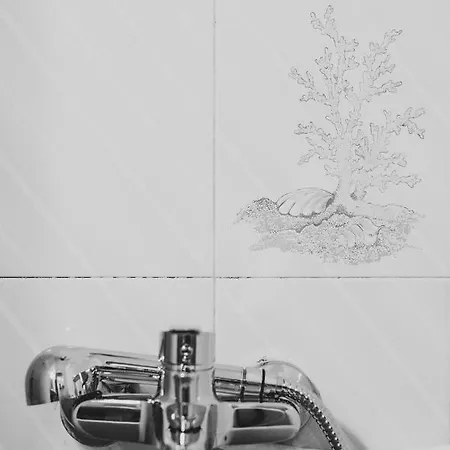 Argostoli Central Apartment 公寓